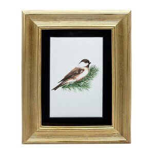 5X7 Gold Beveled Picture Frame